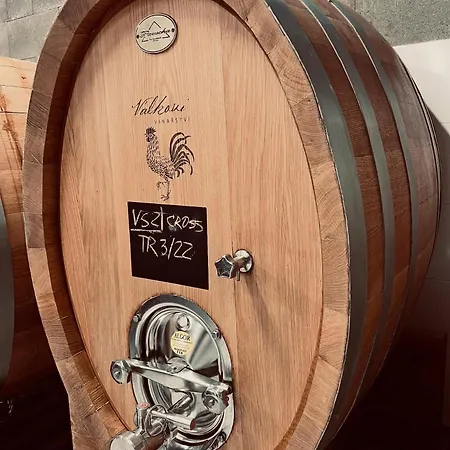 公寓 Vinarstvi Valkovi *