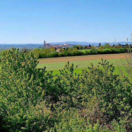 Vinarstvi Valkovi * Mělník