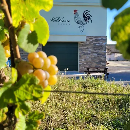 公寓 Vinarstvi Valkovi