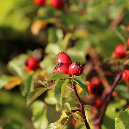 Vinarstvi Valkovi Mělník