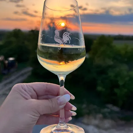 Vinarstvi Valkovi * Mělník