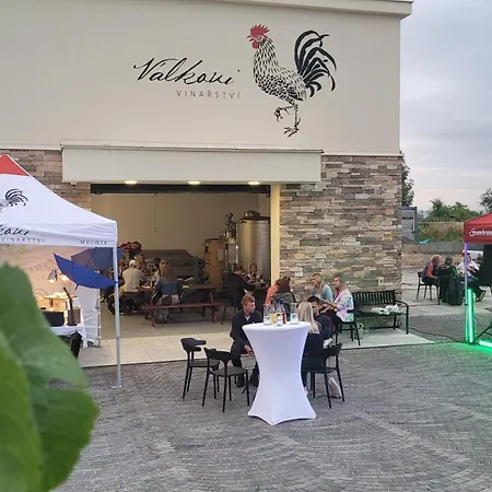 公寓 Vinarstvi Valkovi