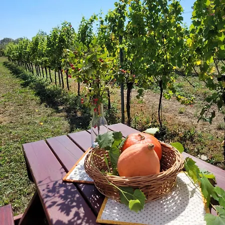 Vinarstvi Valkovi 公寓 *