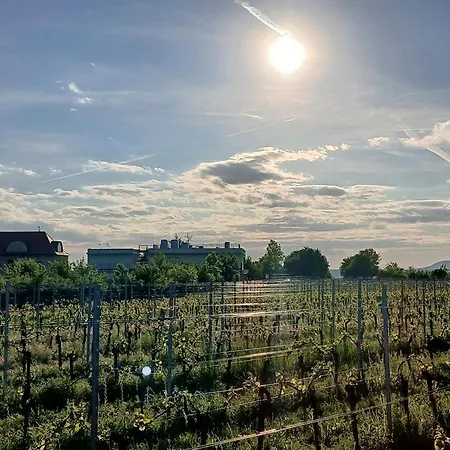 Vinarstvi Valkovi شقة