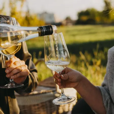 Vinarstvi Valkovi Mělník