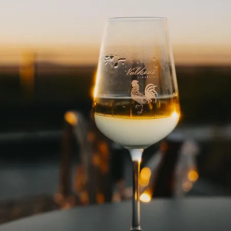 شقة Vinarstvi Valkovi *