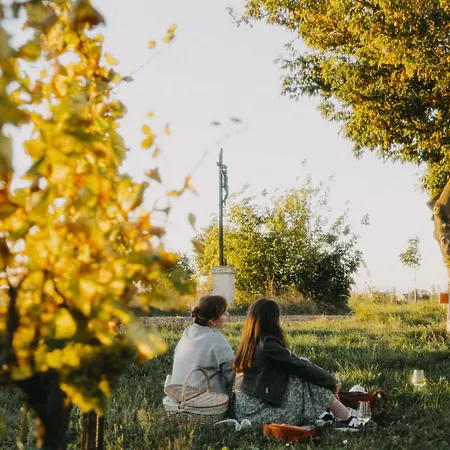 شقة Vinarstvi Valkovi