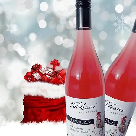 公寓 Vinarstvi Valkovi Mělník