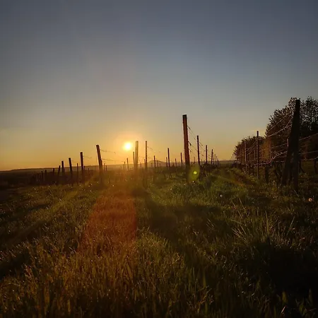 Vinarstvi Valkovi Апартаменты