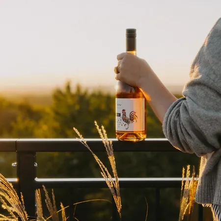 아파트 Vinarstvi Valkovi *