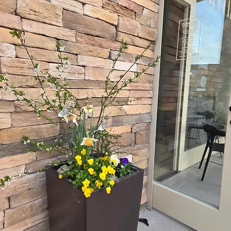 Vinarstvi Valkovi 아파트 *