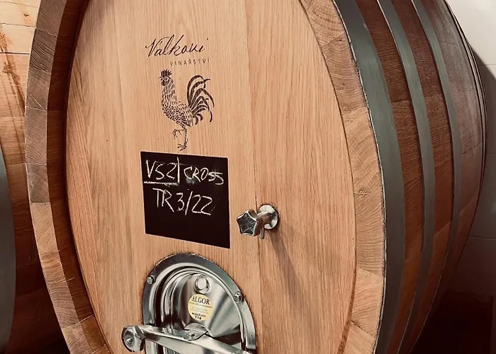 شقة Vinarstvi Valkovi *