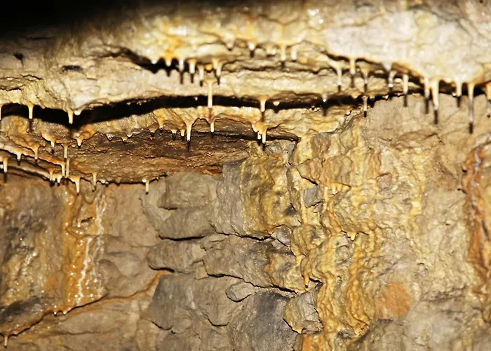 Appartement Vinarstvi Valkovi Mělník