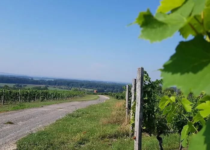 Vinarstvi Valkovi * Mělník