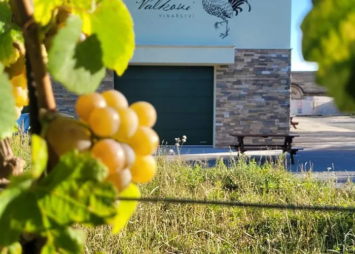 Appartement Vinarstvi Valkovi