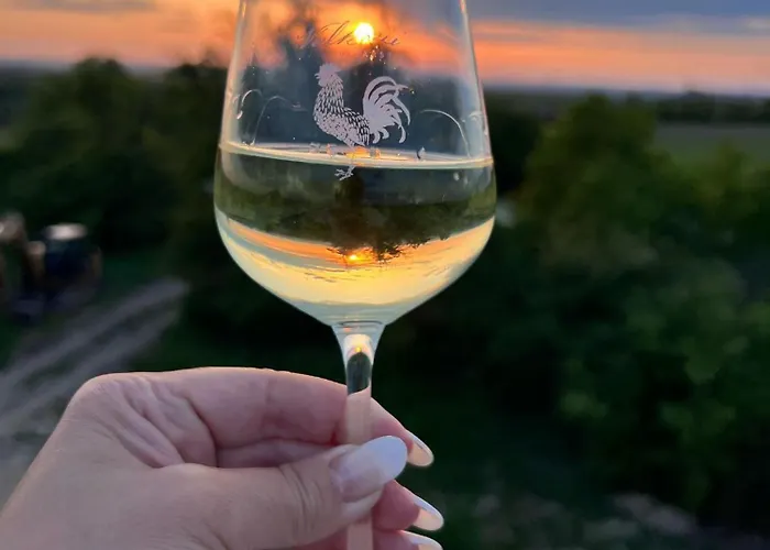 Vinarstvi Valkovi * Mělník