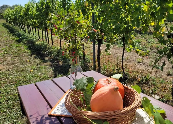 Vinarstvi Valkovi شقة *