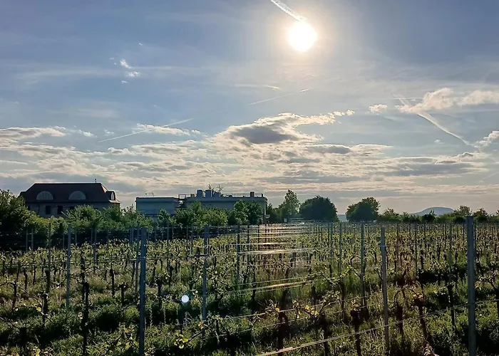 Vinarstvi Valkovi Appartement