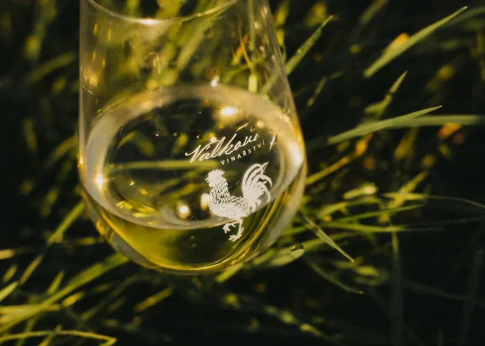 Vinarstvi Valkovi Mělník
