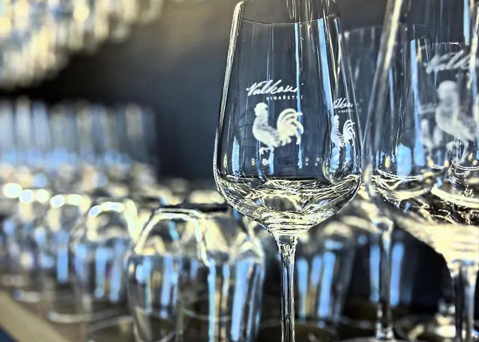 Vinarstvi Valkovi Mělník