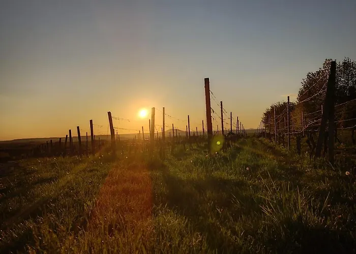 Vinarstvi Valkovi 아파트