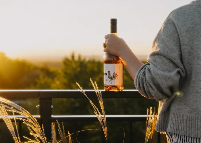 아파트 Vinarstvi Valkovi *