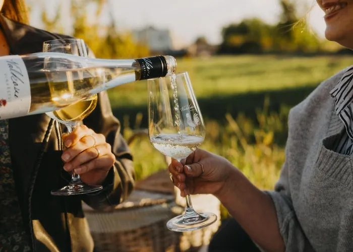 아파트 Vinarstvi Valkovi Mělník